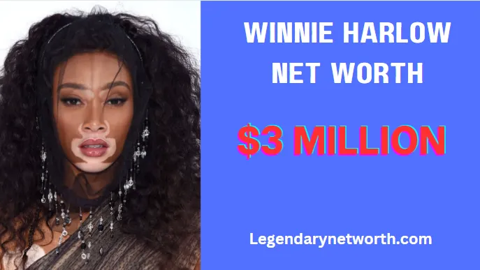 Winnie Harlow Net Worth Success Secrets Explored