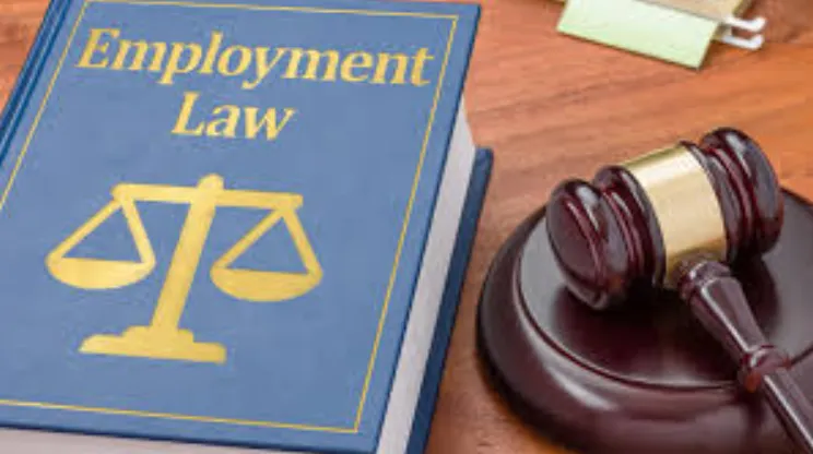 7 Important Roles of an Employment Lawyer You Should Know