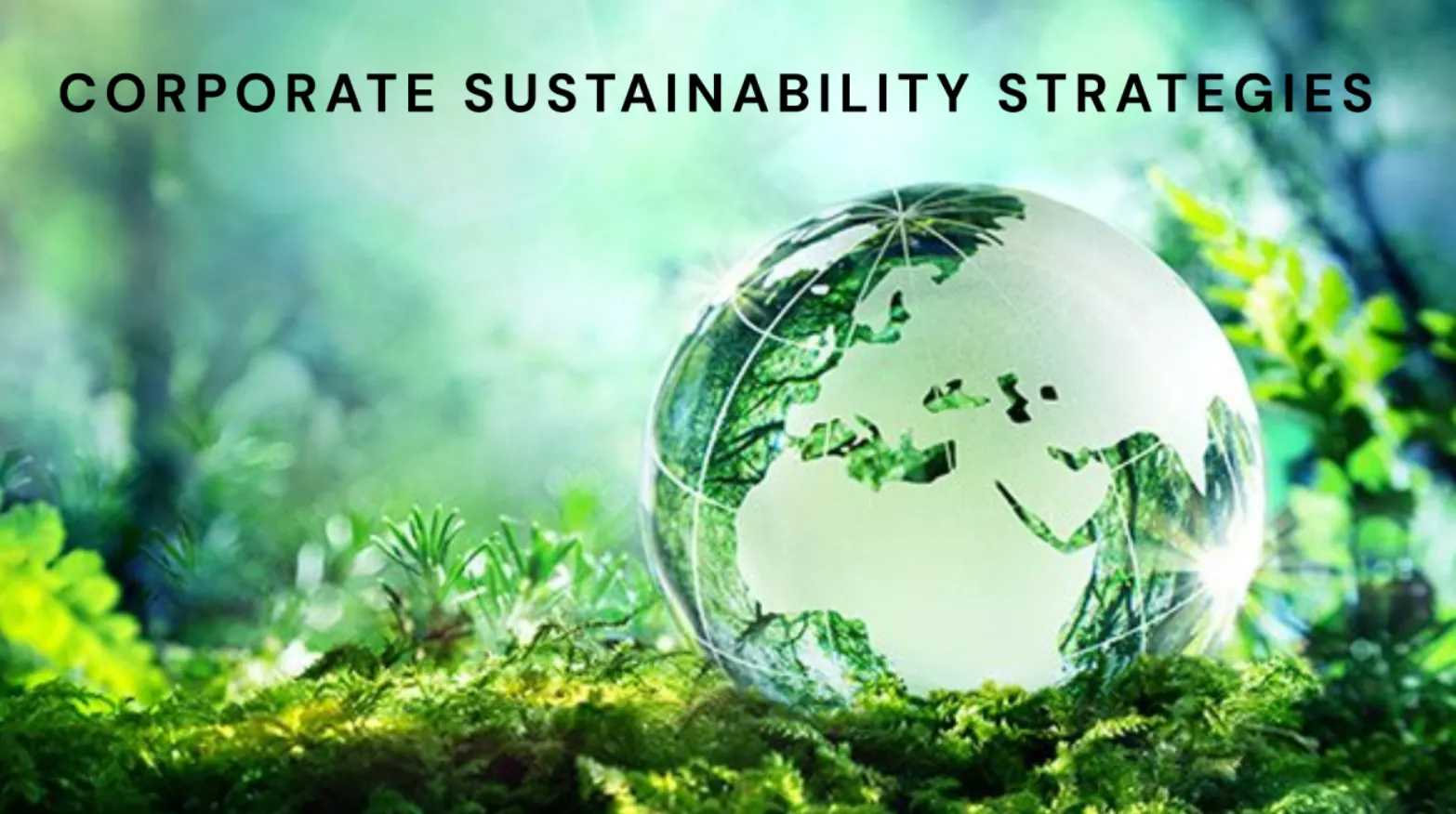 3 Ways Businesses Benefit from Sustainable Practices